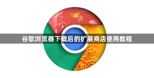 谷歌浏览器下载后的扩展商店使用教程1