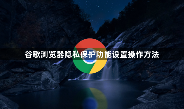 谷歌浏览器隐私保护功能设置操作方法1