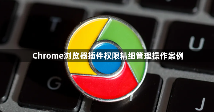 Chrome浏览器插件权限精细管理操作案例1