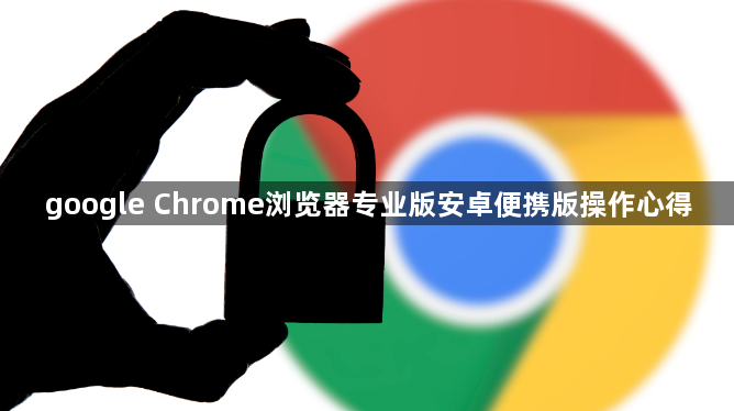google Chrome浏览器专业版安卓便携版操作心得1