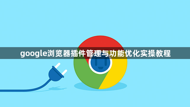 google浏览器插件管理与功能优化实操教程1