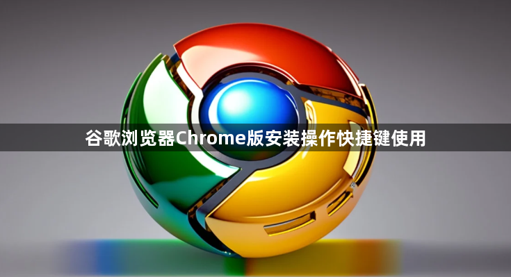 谷歌浏览器Chrome版安装操作快捷键使用1