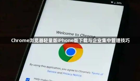 Chrome浏览器轻量版iPhone版下载与企业集中管理技巧1