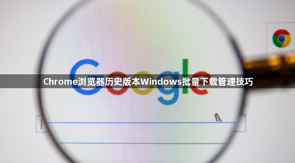 Chrome浏览器历史版本Windows批量下载管理技巧1