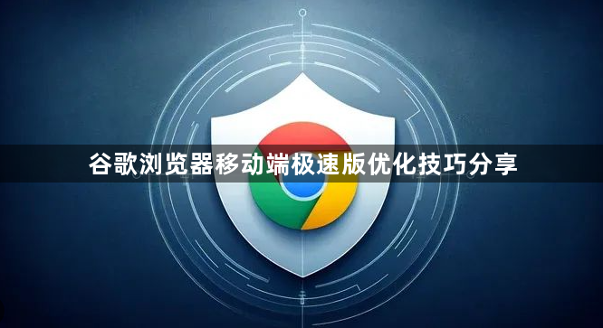 谷歌浏览器移动端极速版优化技巧分享1