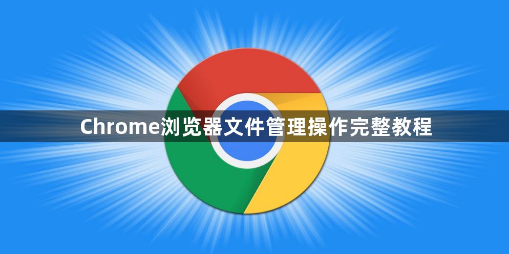 Chrome浏览器文件管理操作完整教程1