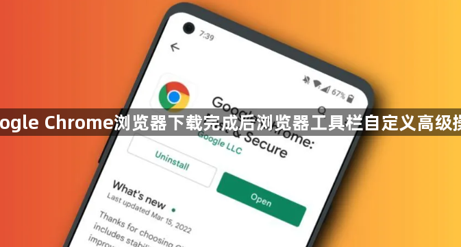 google Chrome浏览器下载完成后浏览器工具栏自定义高级操作1