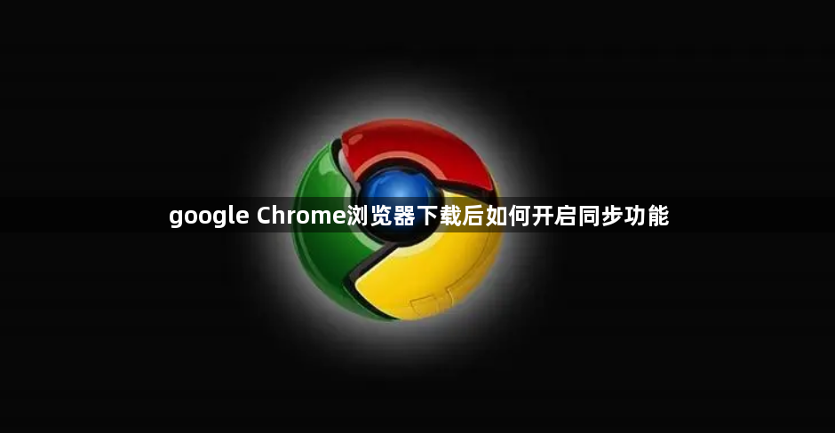 google Chrome浏览器下载后如何开启同步功能1