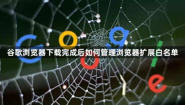谷歌浏览器下载完成后如何管理浏览器扩展白名单1