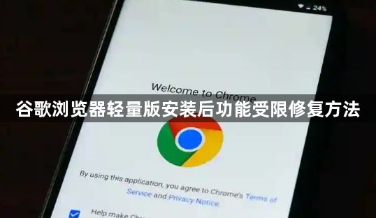 谷歌浏览器轻量版安装后功能受限修复方法1